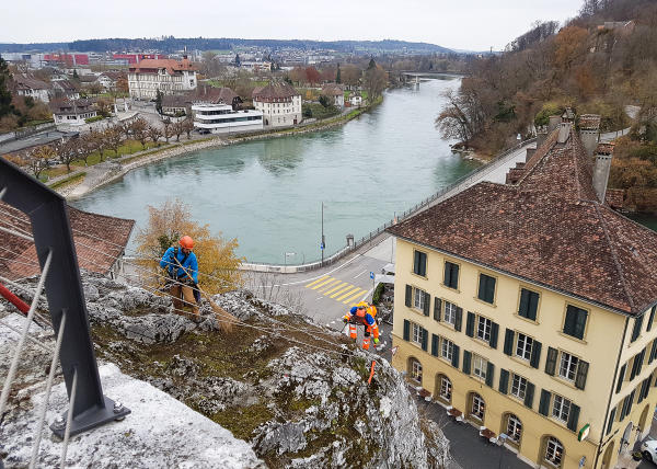Sträucher schneiden in einer Felswand unterhalb der reformierten Kirche Aarburg, Auflage 2017