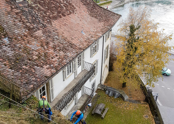 Sträucher schneiden in einer Felswand unterhalb der reformierten Kirche Aarburg, Auflage 2017