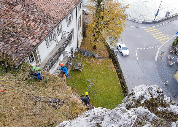 Sträucher schneiden in einer Felswand unterhalb der reformierten Kirche Aarburg, Auflage 2017