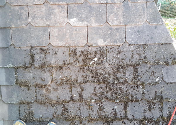 Dachreinigung Altstadthaus in Oerlikon