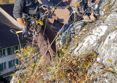 Grünwuchsentfernung Kirchenfels Aarburg