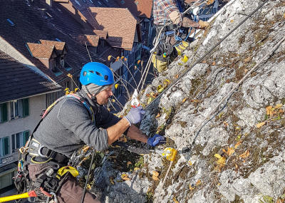 Grünwuchsentfernung Kirchenfels Aarburg