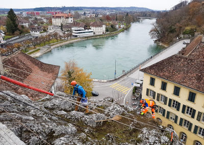 Sträucher schneiden in einer Felswand unterhalb der reformierten Kirche Aarburg, Auflage 2017