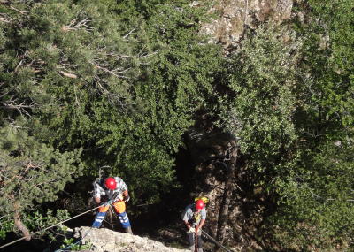 Seilarbeit in Aktion